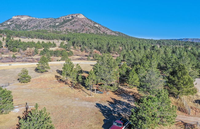 Tree Deer Blind - Foto 34