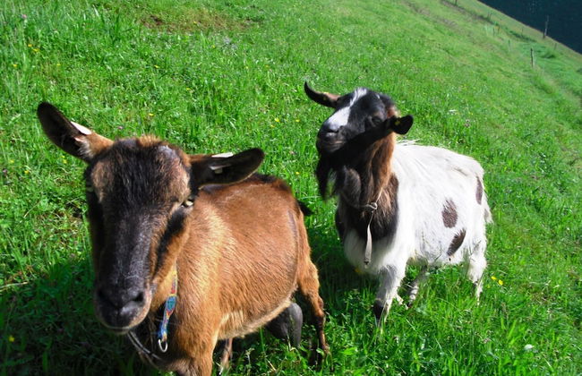 Comfortable Holiday Home in a Beautiful Location - Photo 19