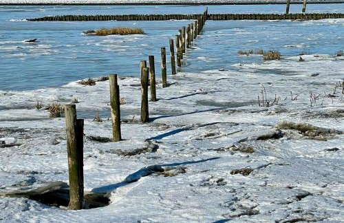 Ferienhaus Immerlicht Norddeich S-H - Photo 27