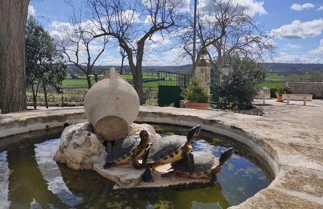 Masseria Torricella - Foto 121