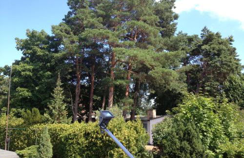 Haus Stoertebeker Appartements - Hotel Garni, Seebad Lubmin - Foto 44