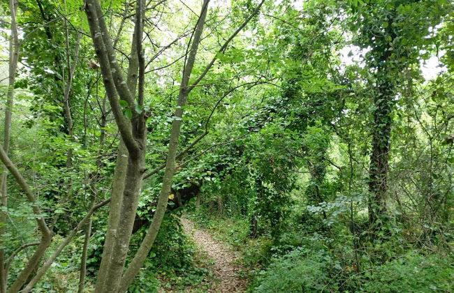 Furaha Villa Etna Trecastagni - Foto 5