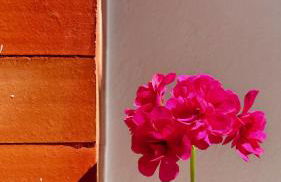 Terracota 2 Quartos Parque Cidade Pet Friendly - Foto 22