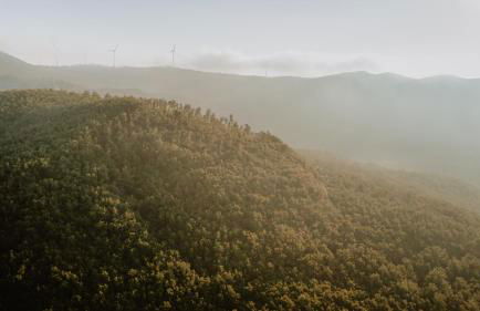 Borgo San Pecoraio Resort - Foto 19