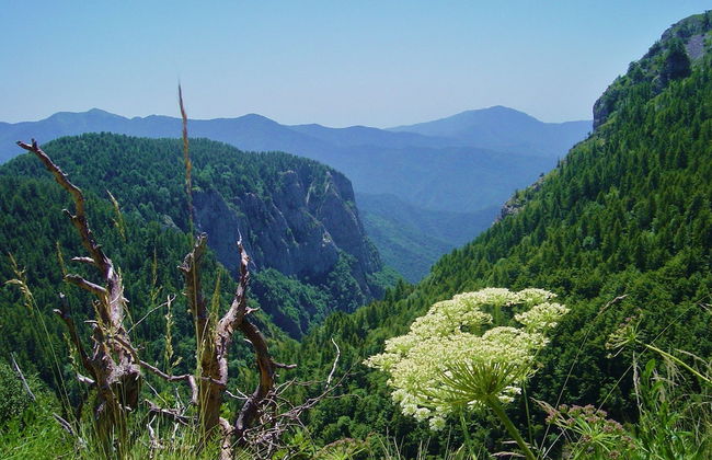 Agriturismo Al Pagan - Foto 35