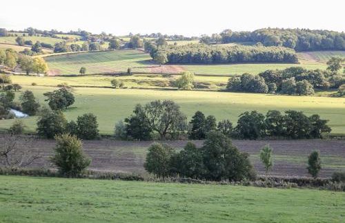 Orchard Cottage - Foto 35