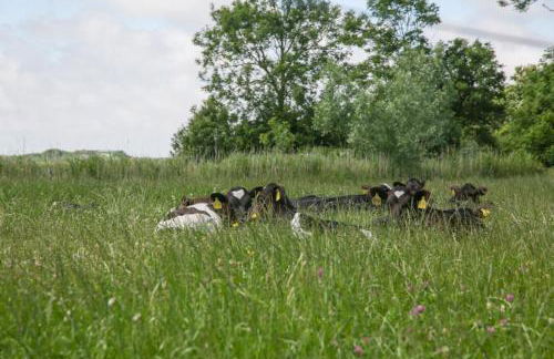 Waldhusen-Warft - Foto 16