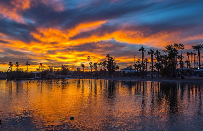 Martinique - Photo 50