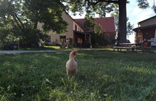 Romantische Wohnung Bauernhof, 100m2 offenes Dachgeschoss - Foto 35