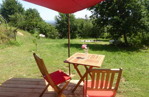 Rosa the Cosy Cabin - Gypsy Wagon - Shepherds Hut, RIVER VIEWS Off-grid eco living - Foto 3