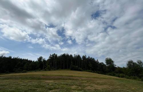 Domki w Bieszczadach Nowa Zelandia - Photo 49