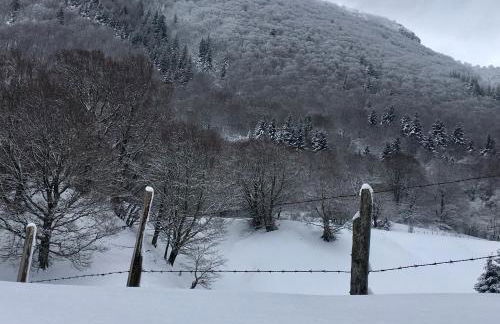 Les terrasses du château de Murol - Studio 4p au pied du château de Murol - Foto 20