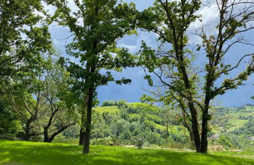 Villa panoramica sulle colline del Monferrato - Foto 5