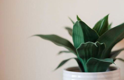 Back Bay Tuckaway - Photo 9