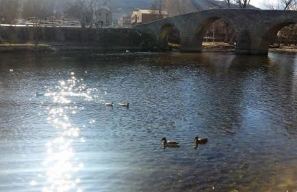 El Rincón de Gredos - Photo 75