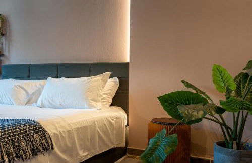 Da Gise Giardino Wifi Malpensa - Foto 19