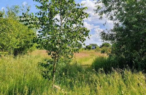 Sonnenhügel - Foto 8