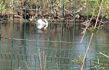 La Cigale d'Avignon - Foto 14