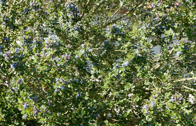 La Batterie - Foto 19