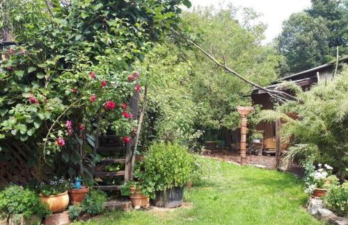 Ältestes Haus in Quentel - Ferienwohnung 1 mit kleinem Garten - Foto 4