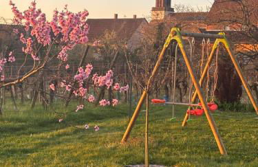 Gite des cigognes - Foto 35