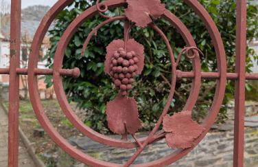 Winzervilla Kammerhof - 3x stilvolle & geräumige FeWos mit Moselblick, 2-12 Gäste buchbar, direkt am Moselradweg - Foto 41