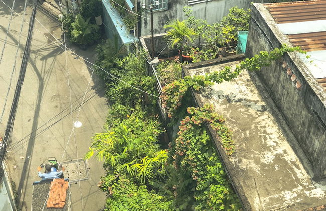 Tropical House - Foto 35