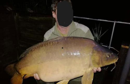 Haus 'am Selliner See-wismar' - Foto 28