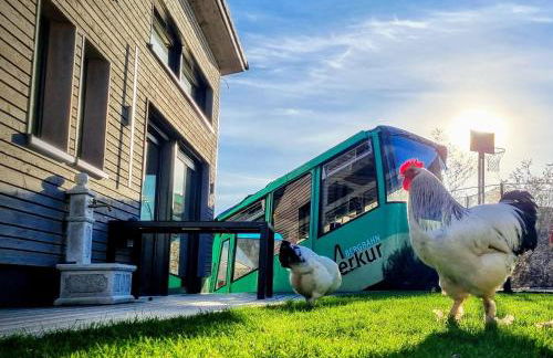 Exklusives Holzhaus mit Bergbahn - Baden-Baden im Schwarzwald - Foto 18