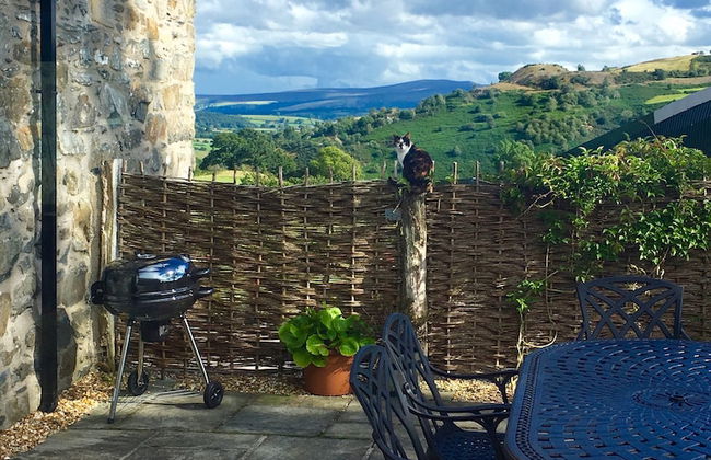 Bryn Eithin Cottage Far From the Madding Crowd - Foto 14