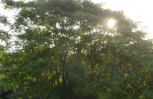Maison de campagne La Teranga au coeur du Luberon - Photo 10
