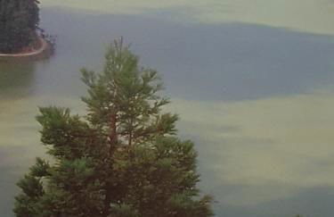 Apartamento T3 Ponta Delgada - Photo 42