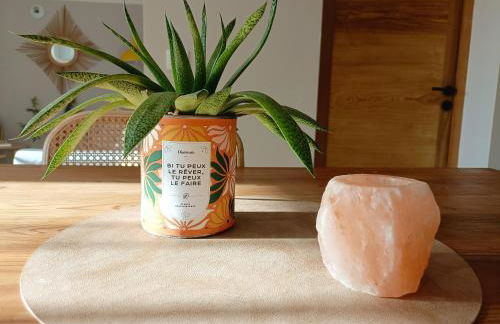 Le jardin de Nigelle , Bas De Villa En Provence - Foto 34