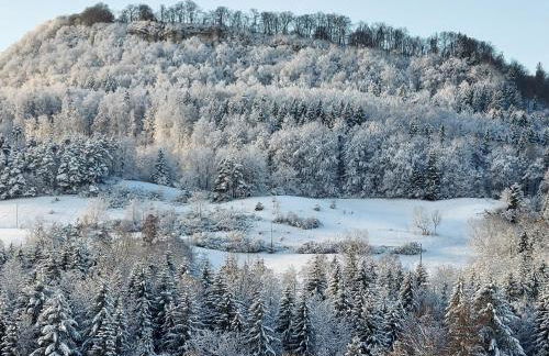 Ferienwohnung Felsenblick - Foto 33