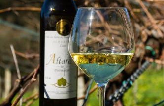 Entre Os Ríos - Casa Rural y Enoturismo - Foto 80