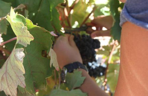 Apartamento Turístico Cigüeña de Alfaro - Foto 28