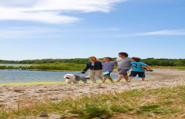 Modern Chalet With a Fireplace in a Holiday Park - Foto 41