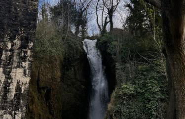 Dyserth Waterfalls apartment - Photo 17