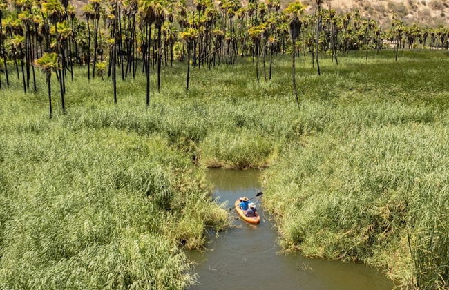 Rancho Ecológico Sol de Mayo - Foto 36
