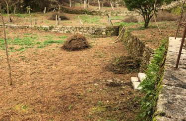 QUINTA do SOUTO BARCIADEMERA - Foto 60