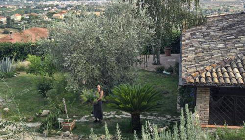 Appartamento con Vista Mare e Piscina a Casa Vuscichè - Foto 5, Garden