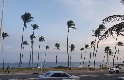 FLAT Jardim de Alah - Frente Praia - Foto 38