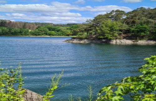 Ferienwohnung in der Nähe von Willingen - Foto 73