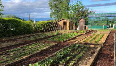 Coltivare AgriRelais - Photo 5, Garden