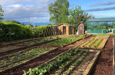 Coltivare AgriRelais - Photo 5