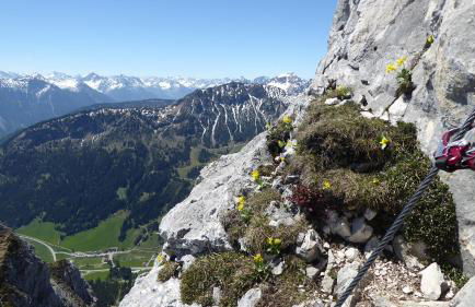 FW Weissensee - Foto 35