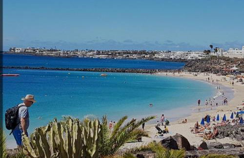 Ocean Volcán - Foto 23