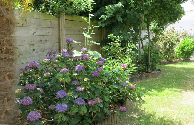 Le Clos Velin - Foto 27