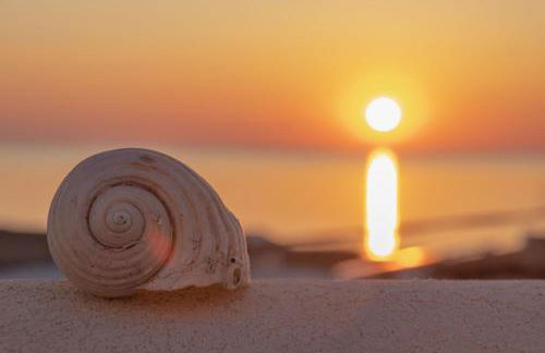 Villa Nesea Marzamemi - Foto 20