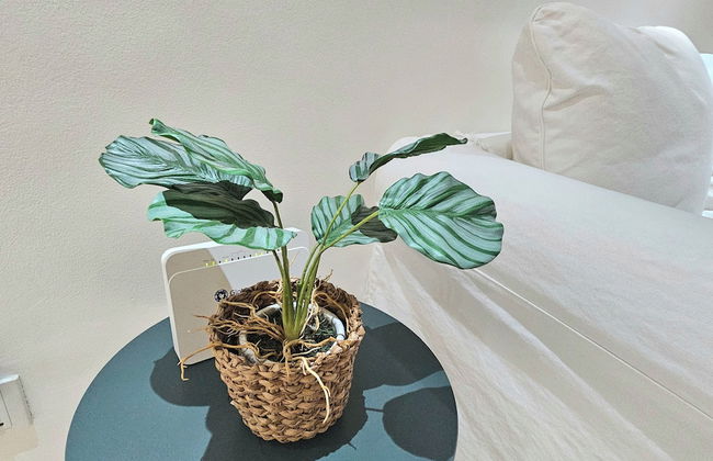 The Infinity - Foto 56